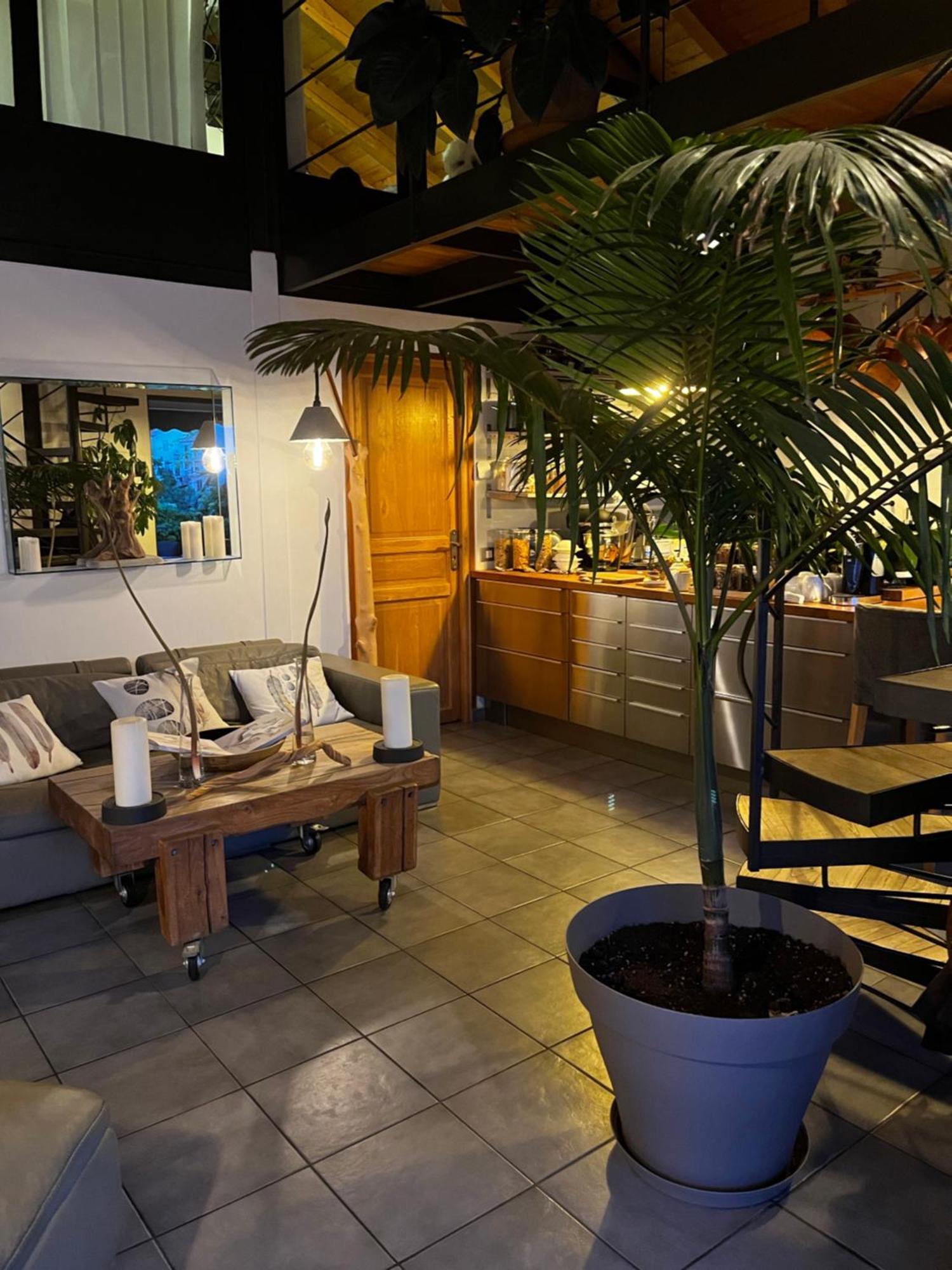 Skylark Bed & Breakfast Grasse Eksteriør billede