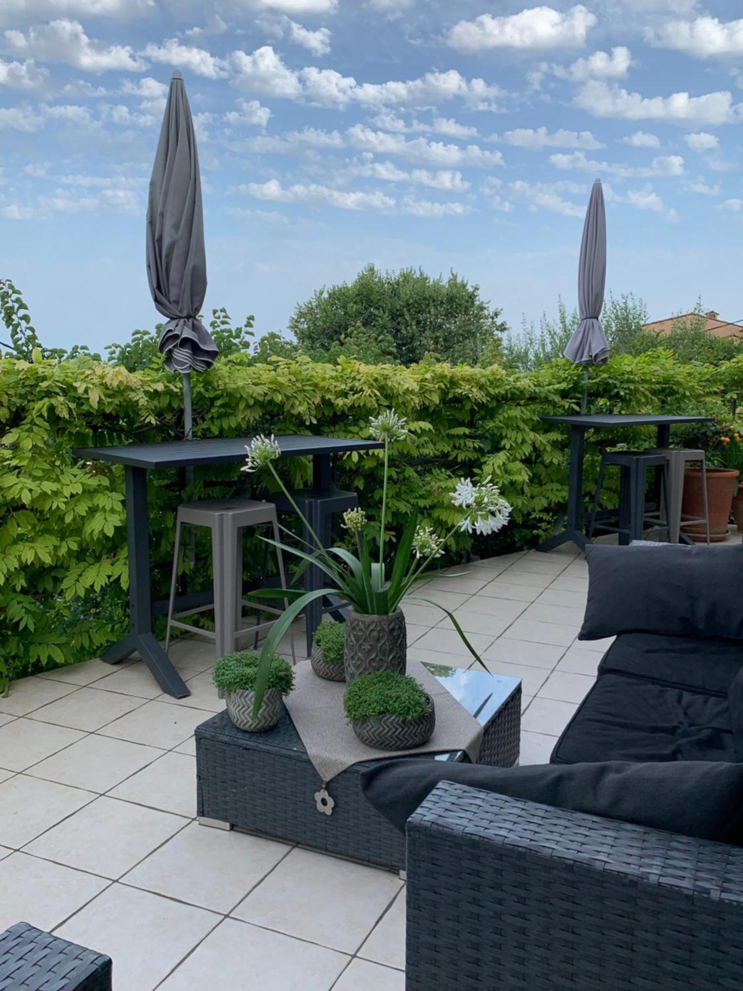 Skylark Bed & Breakfast Grasse Eksteriør billede