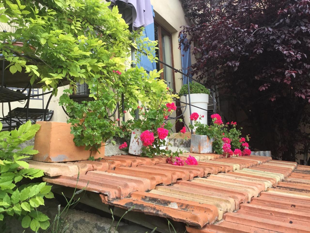 Skylark Bed & Breakfast Grasse Eksteriør billede