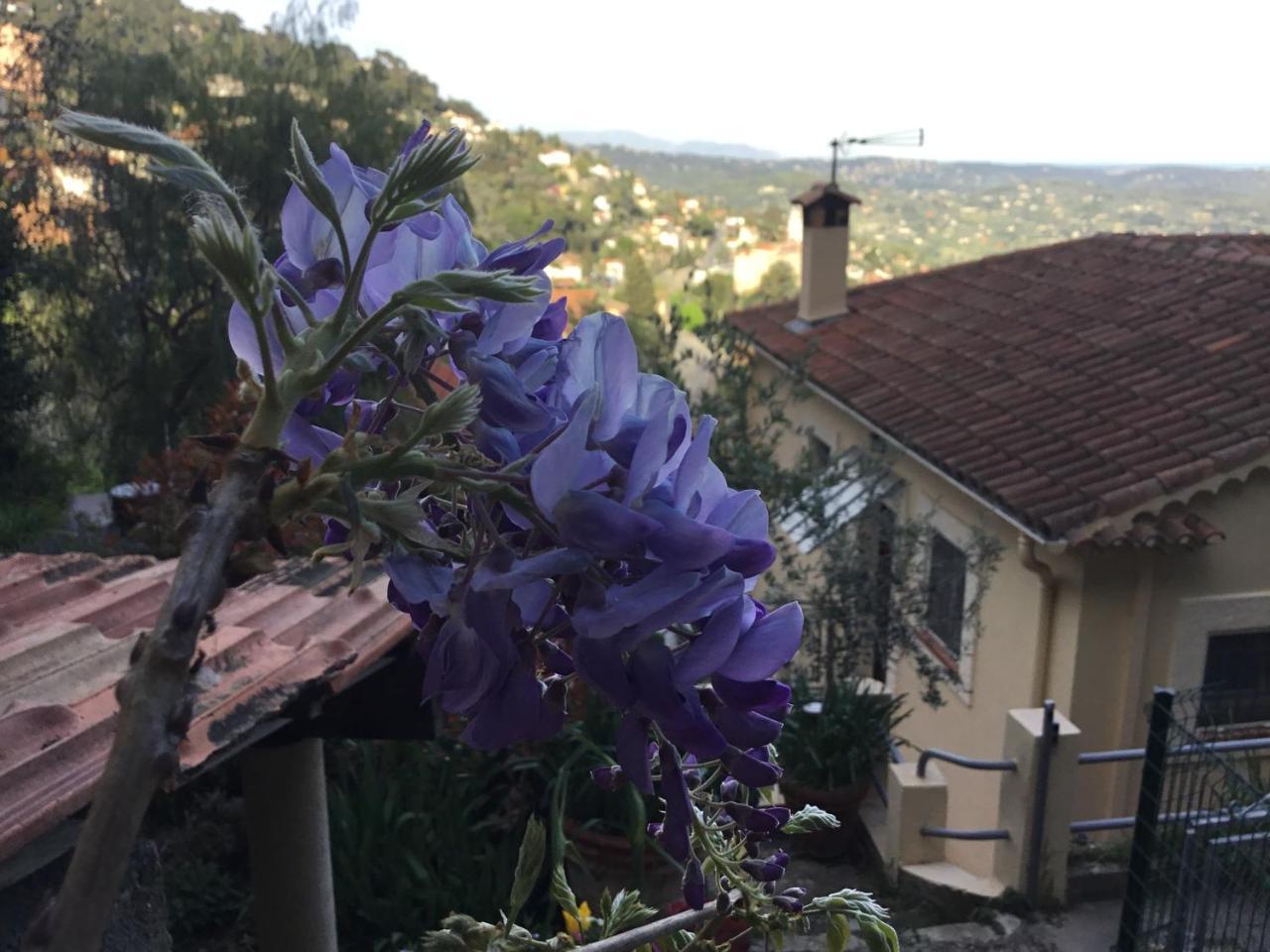 Skylark Bed & Breakfast Grasse Eksteriør billede