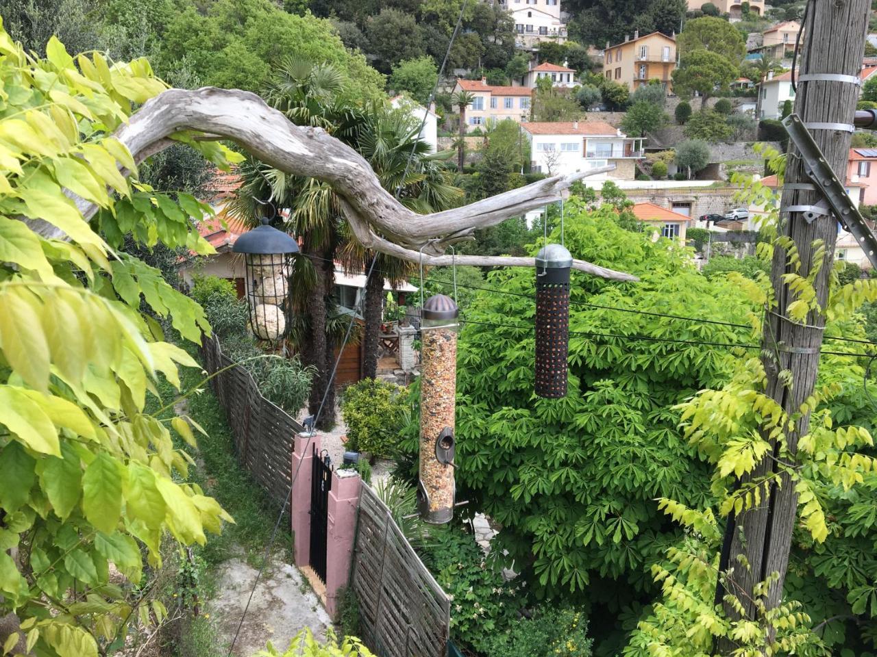 Skylark Bed & Breakfast Grasse Eksteriør billede