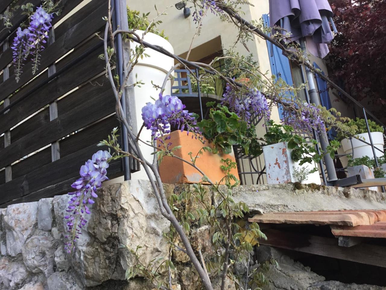 Skylark Bed & Breakfast Grasse Eksteriør billede